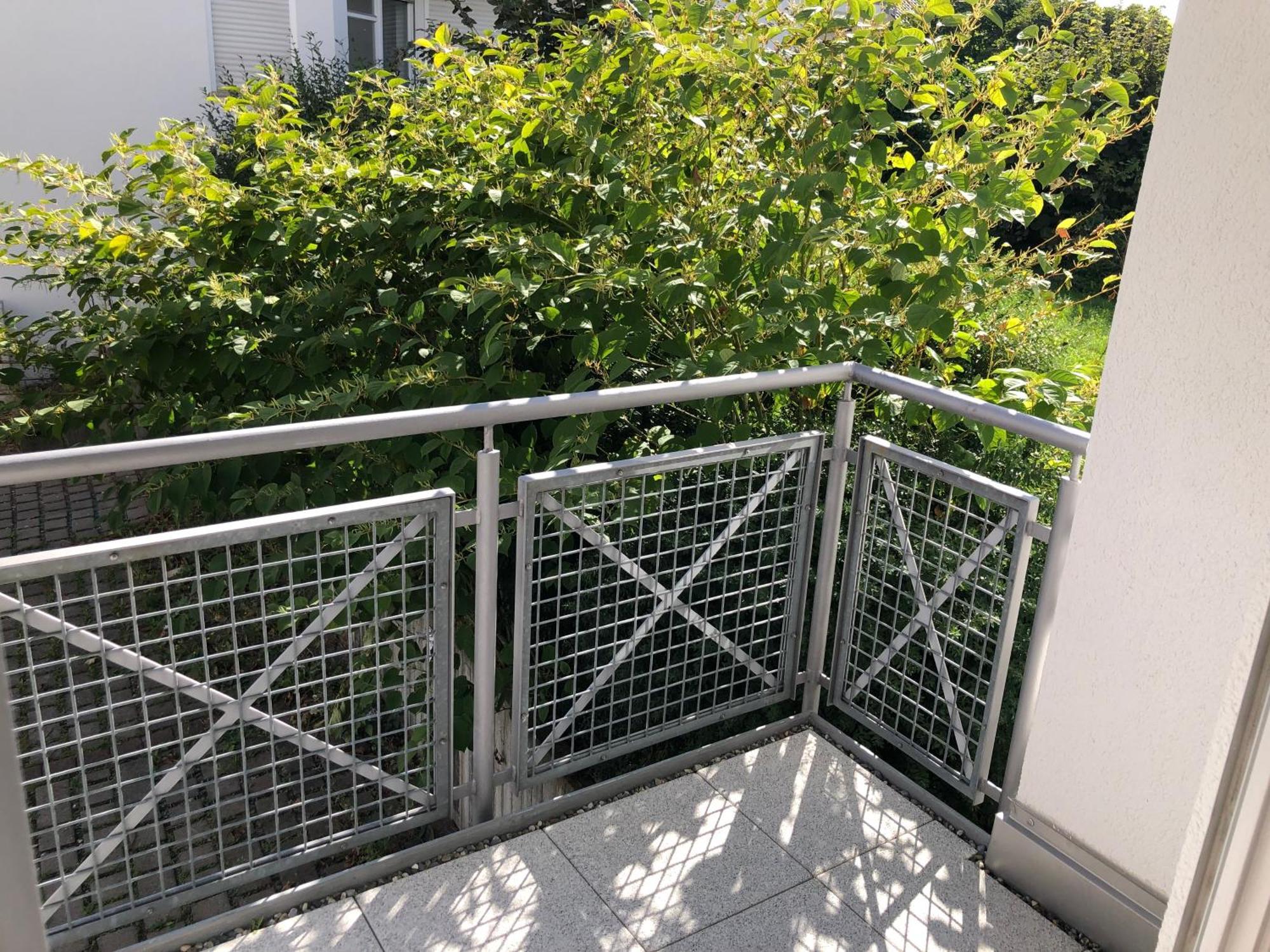 Luxliv Apartements Balingen Exterior foto